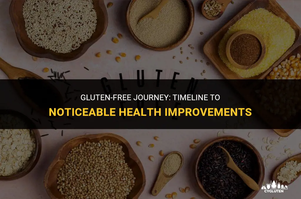 how long to avoid gluten to see results