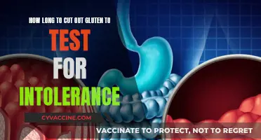 Discovering Gluten Intolerance: A Guide to Elimination and Testing