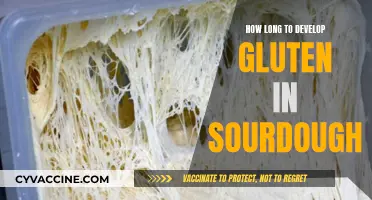 Unlocking the Secrets of Sourdough: A Gluten Development Timeline