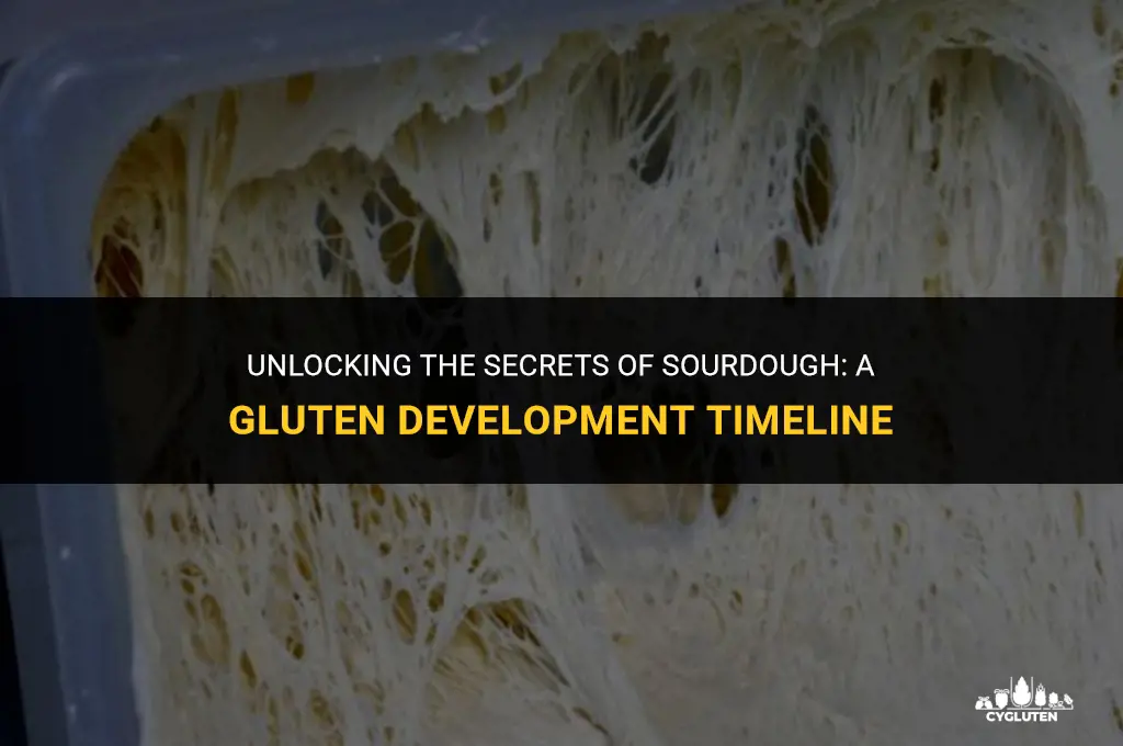 how long to develop gluten in sourdough