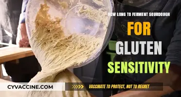 Sourdough Fermentation: A Key to Reducing Gluten Sensitivity?