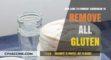 Sourdough Fermentation: A Gluten-Free Journey Through Time