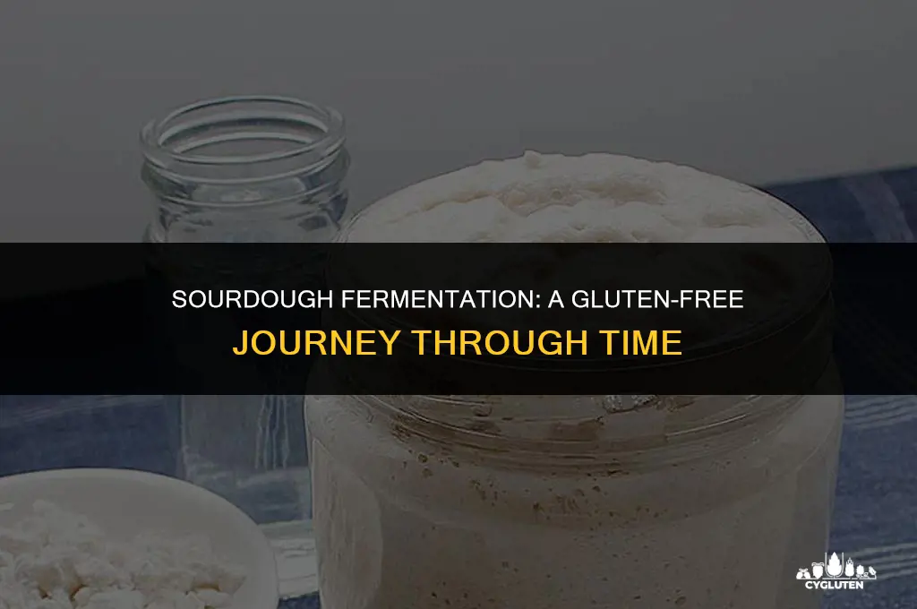how long to ferment sourdough to remove all gluten