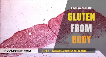 Gluten Detox Timeline: How Long Does It Take to Flush Gluten from Your Body?