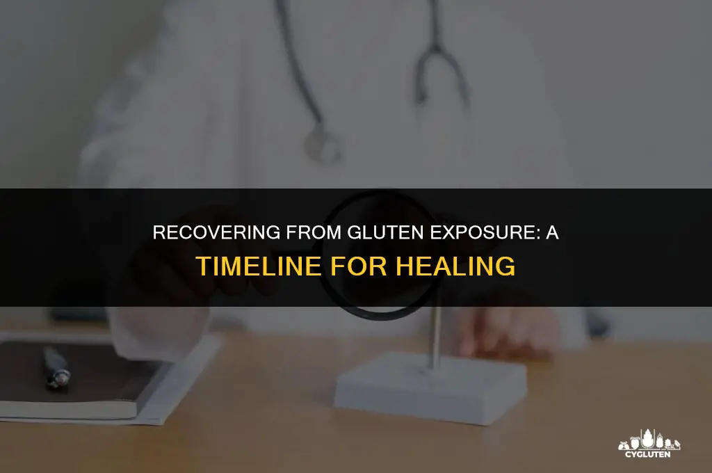 how long to get over gluten exposure