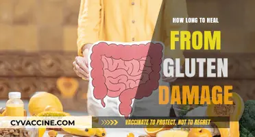 Restoring Gut Health: The Journey to Recovery from Gluten Damage