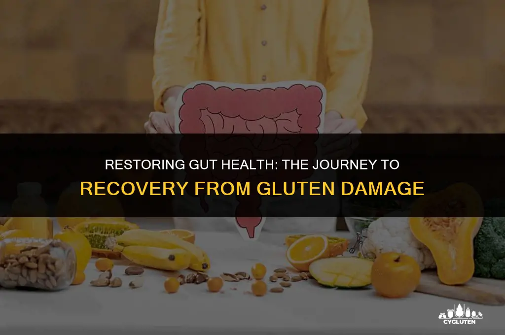 how long to heal from gluten damage