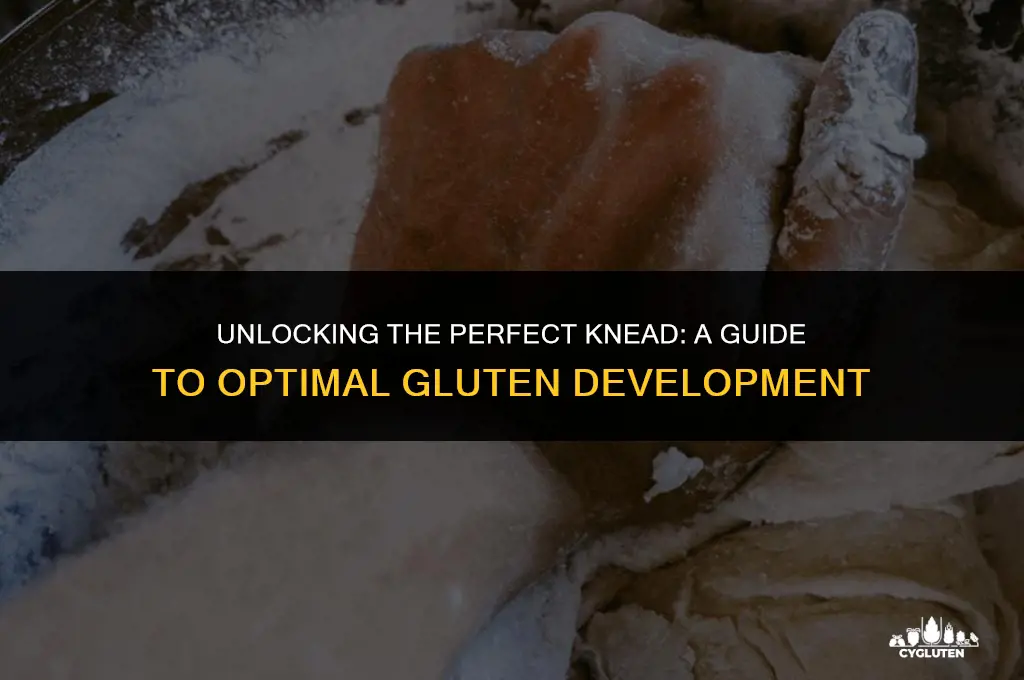 how long to knead for the most gluten