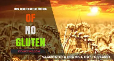 Gluten-Free Journey: Timeline to Noticeable Health Changes