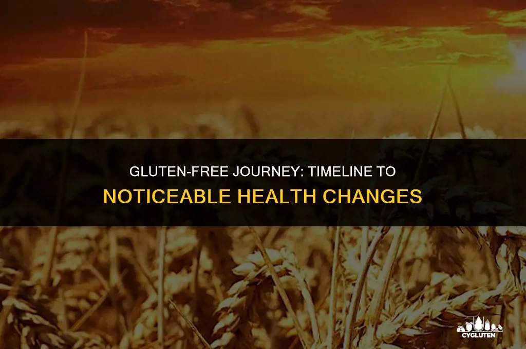 how long to notice effects of no gluten