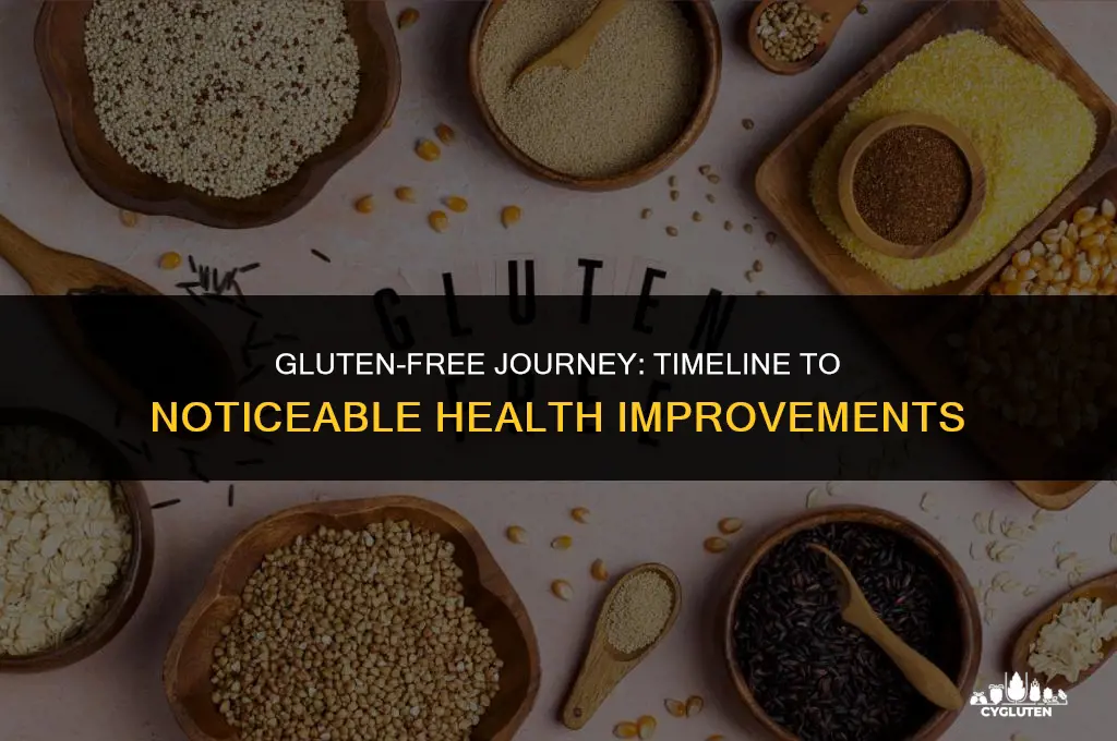 how long to quit gluten before seeing results