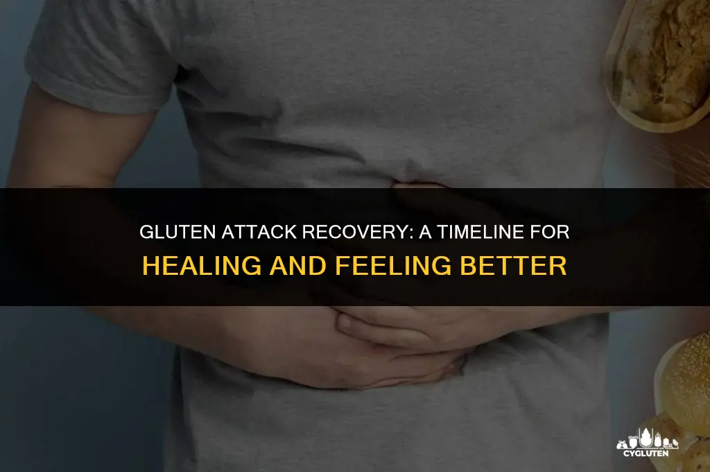 how long to recover from gluten attack