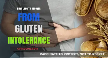 Gluten Intolerance Recovery: A Timeline for Healing and Feeling Great