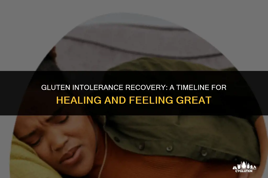 how long to recover from gluten intolerance