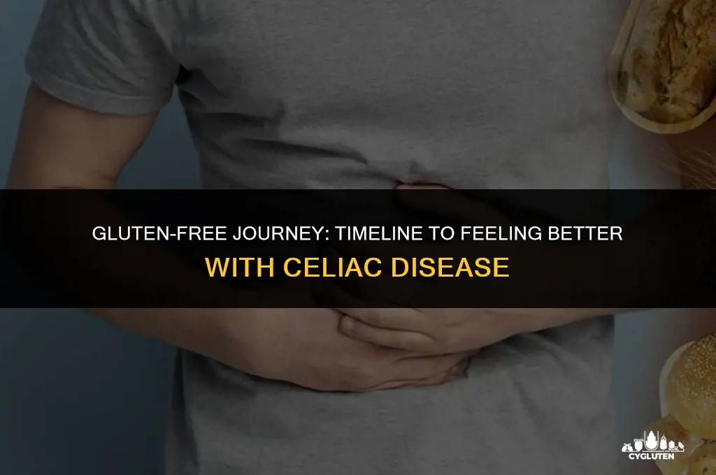 how long until i start feeling better cutting gluten celiac