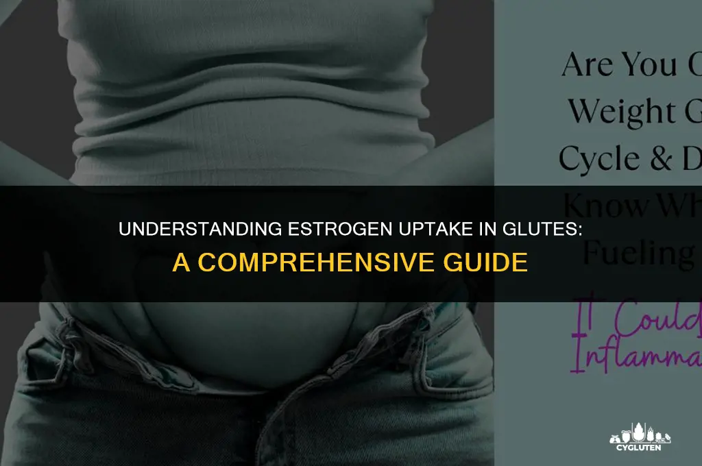 how long will estrogen uptake take for glutes