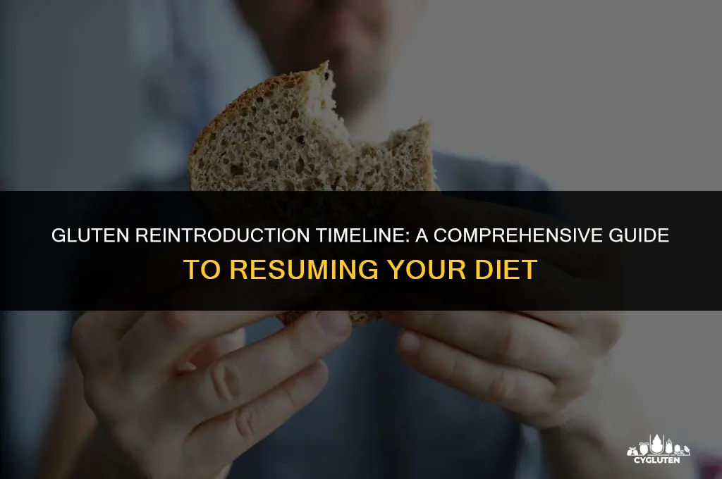 how long will it take to reintroduce gluten