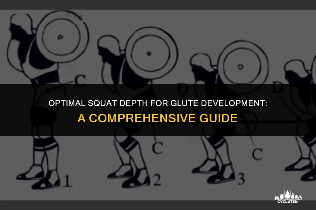 how low should you squat for glutes