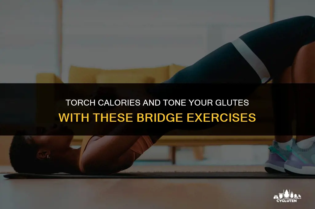 how many calories burned doing glute bridges