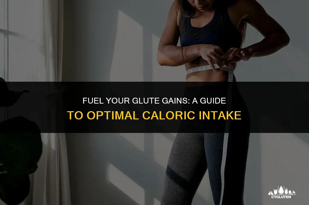 how many calories should i eat to build glutes