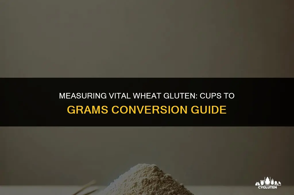 how many cup in 100 grams vital wheat gluten