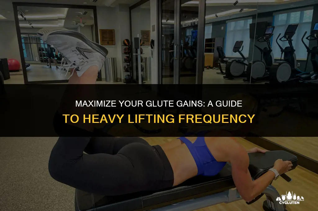 how many days a week glute lift heavy