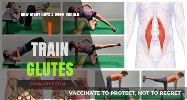 Optimal Glute Training Frequency: A Comprehensive Guide
