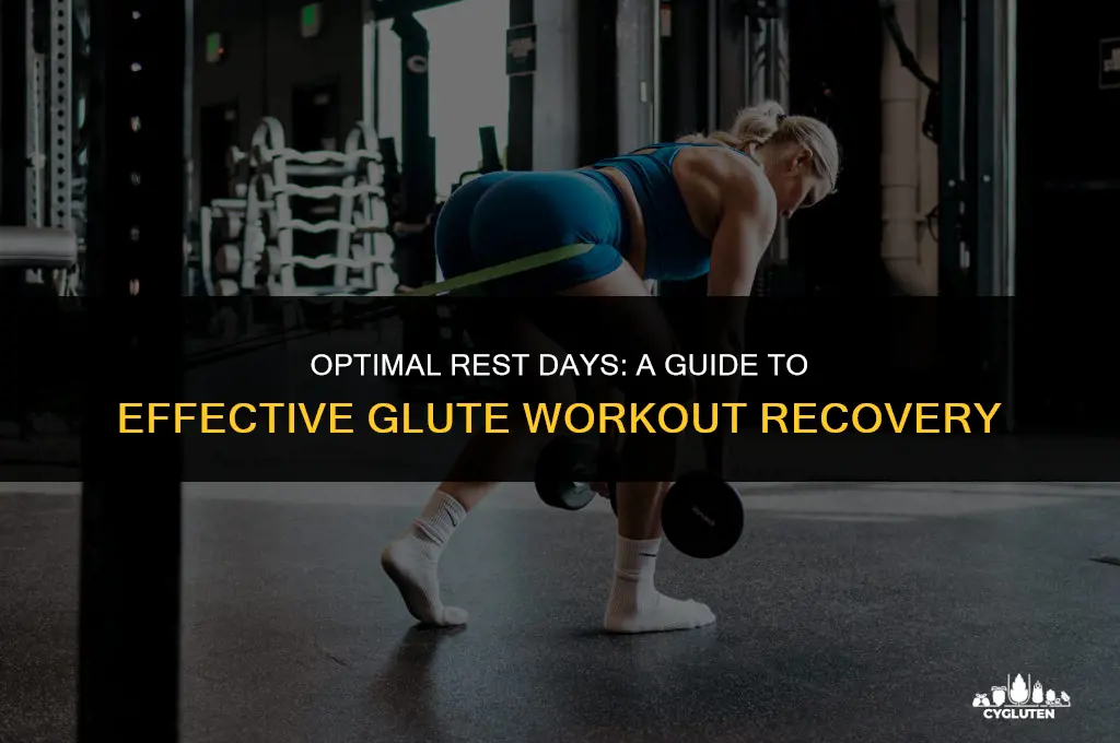 how many days in between glute workouts