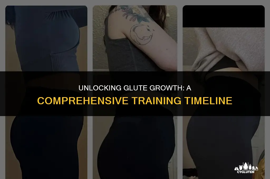 how many days to train glutes for growth