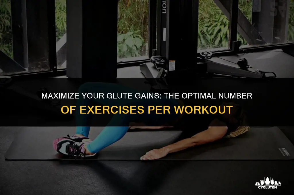 how many different glute exercises per workout