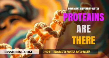 Unraveling the Complexity: A Guide to Gluten Proteins