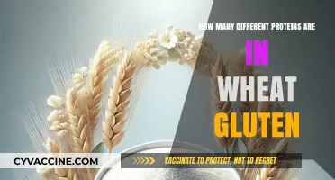 Exploring the Protein Diversity Within Wheat Gluten