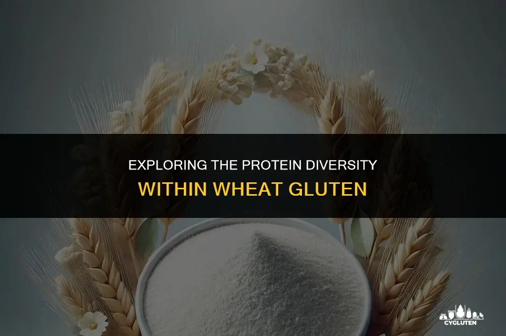 how many different proteins are in wheat gluten