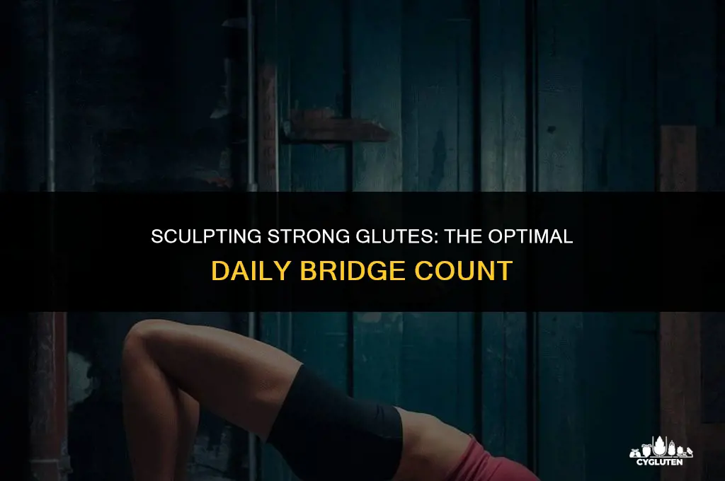how many glute bridges should i do per day
