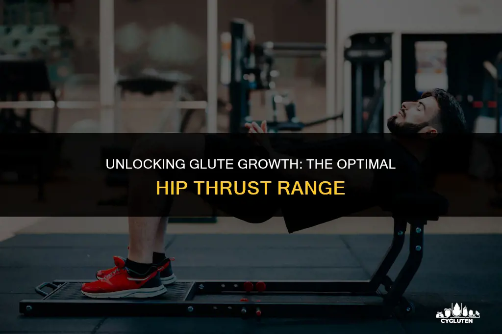 how many hip thrusts for glute growth