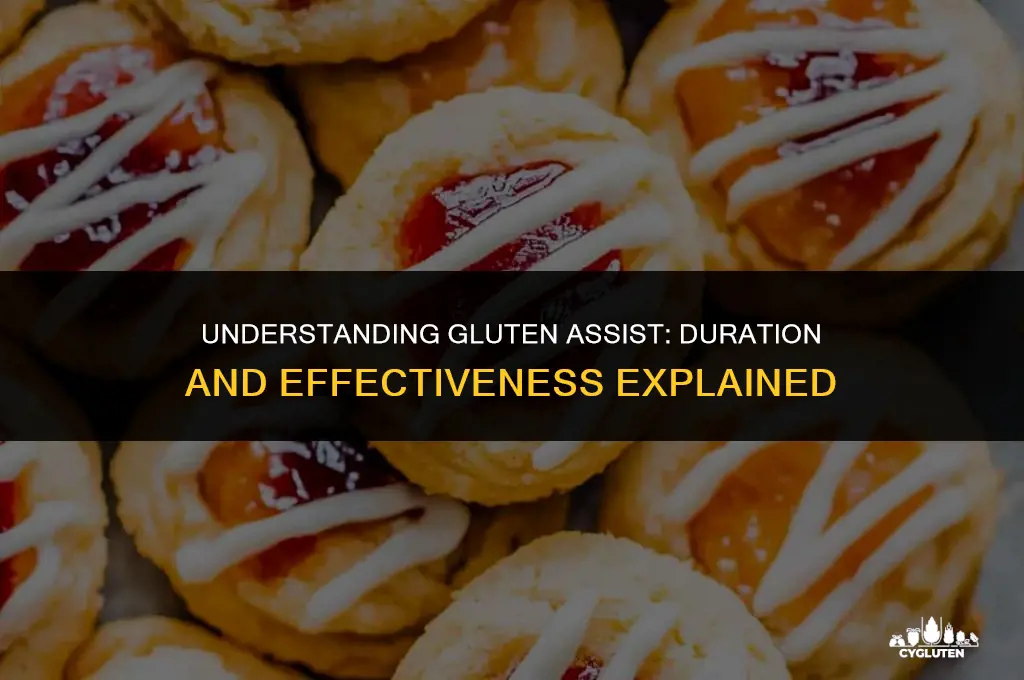 how many hours does gluten assist work