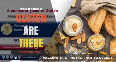 Exploring the Spectrum: Types of Gluten and Their Impact