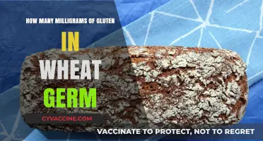 Exploring Gluten Content: A Detailed Look at Wheat Germ