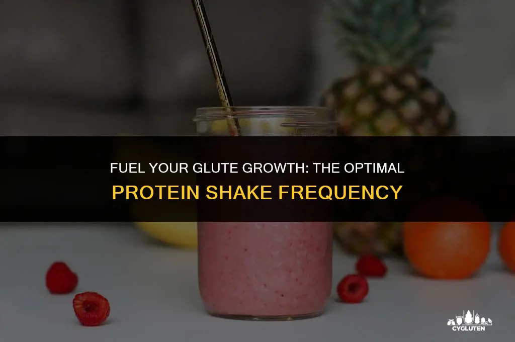 how many protein shakes a day to grow glutes