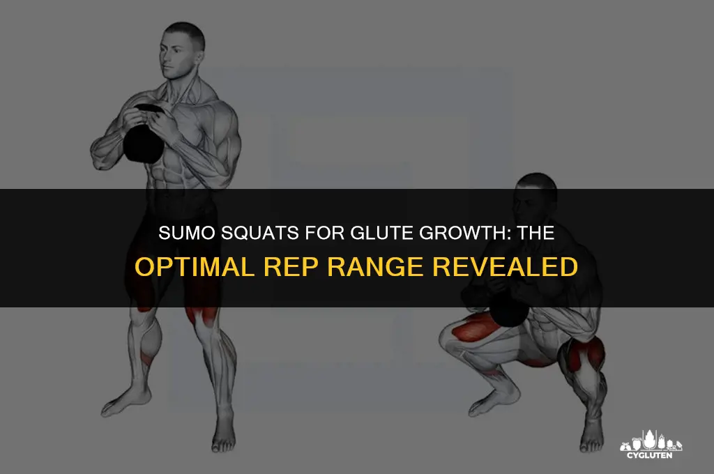 how many sumo squats should i do to grow glutes