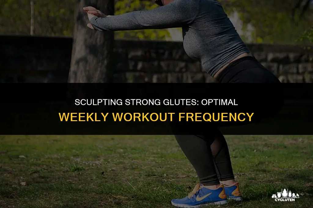 how many times a week should i hit glutes
