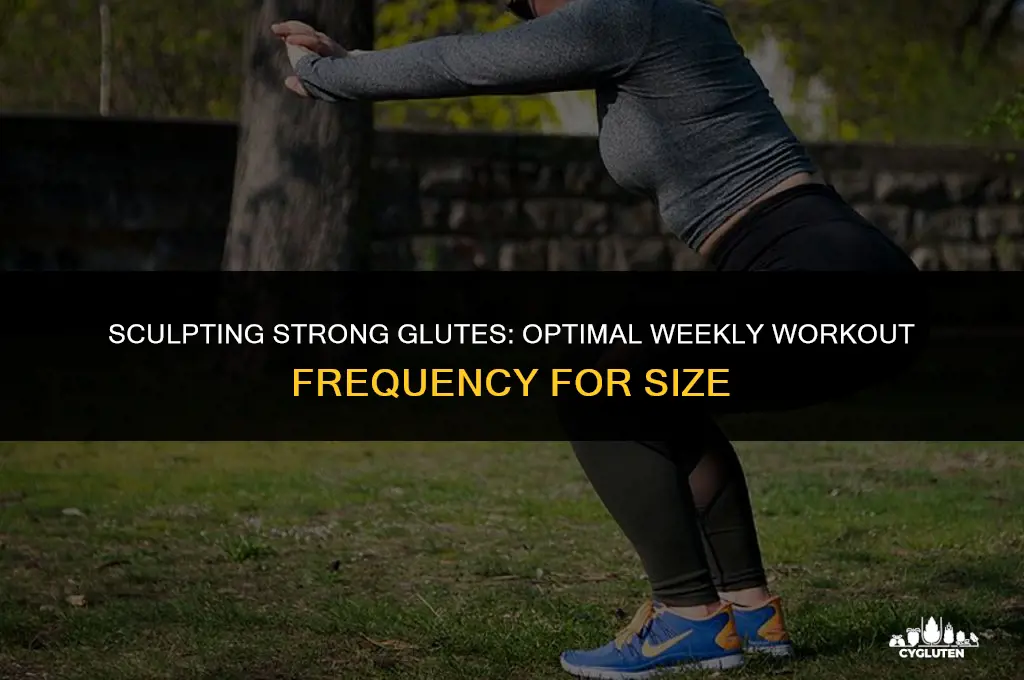 how many times a week to work glutes for size
