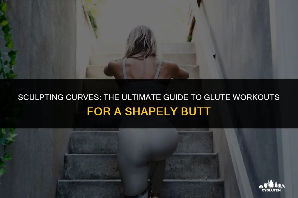 how many times a week workout glutes for big butt