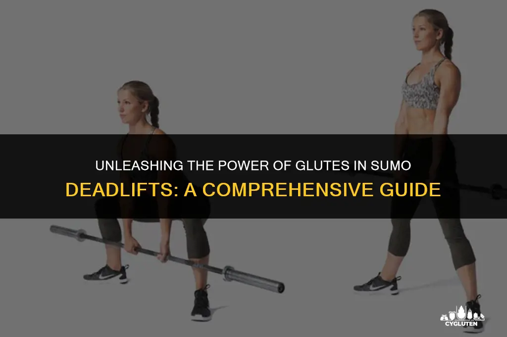 how much are glutes worked in sumo deadlifts