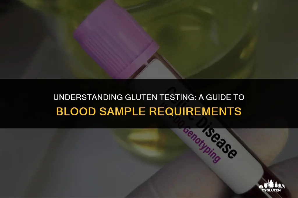 how much blood do they take for gluten test