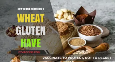Unveiling the Carb Content in Wheat Gluten: A Nutritional Insight