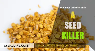 Corn Gluten as a Natural Seed Killer: An In-Depth Guide