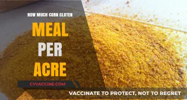 Optimizing Corn Gluten Meal Yield: A Guide to Acres and Nutrition