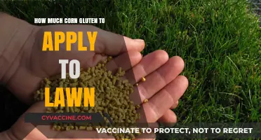 Revitalize Your Lawn: The Essential Guide to Corn Gluten Application