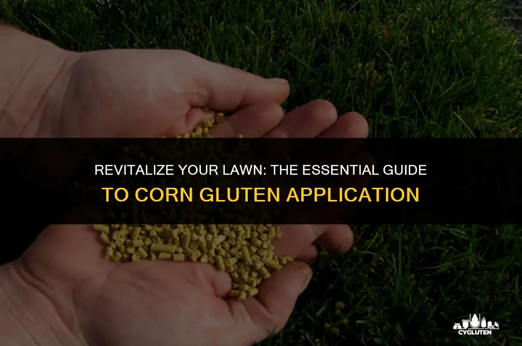 how much corn gluten to apply to lawn